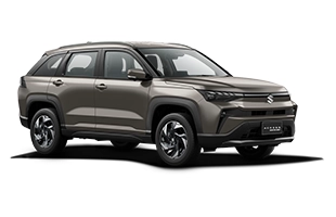Suzuki Across Boostergreen color Gris Lobo
